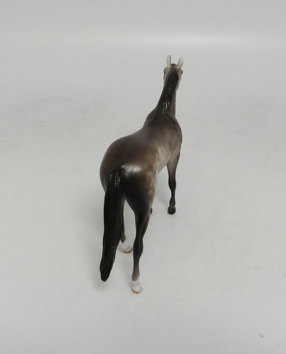 PISMO-OOAK DAPPLE GREY THOROUGHBRED CHIP SW 2018