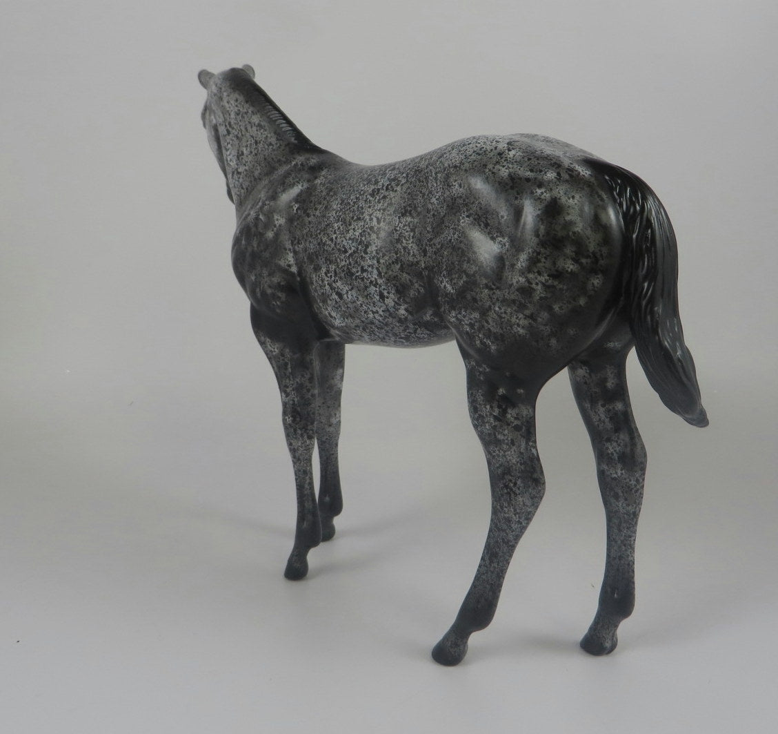 GEMMA-OOAK BLACK ROAN WEANLING MODLEL HORSE LHS 19