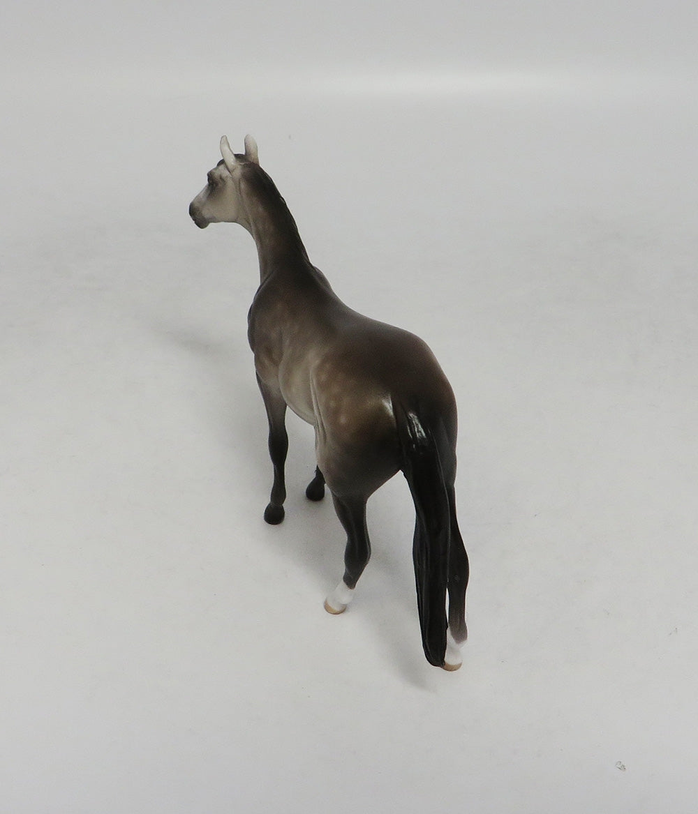PISMO-OOAK DAPPLE GREY THOROUGHBRED CHIP SW 2018