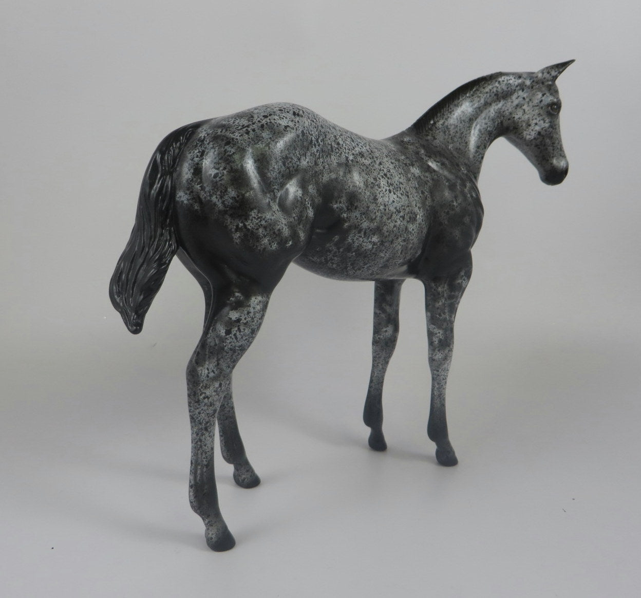 GEMMA-OOAK BLACK ROAN WEANLING MODLEL HORSE LHS 19