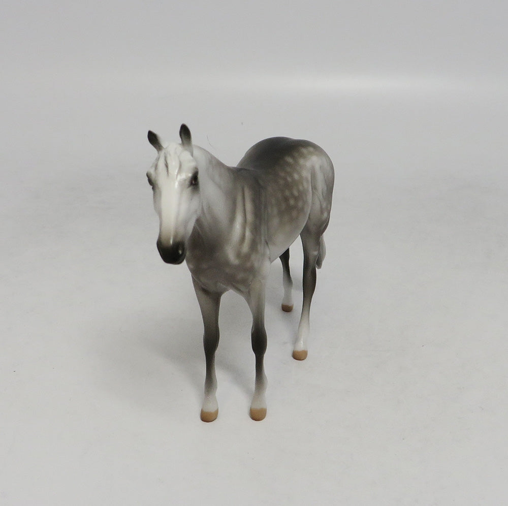 KAILUA-OOAK DAPPLE GREY THOROUGHBRED CHIP SW 2018