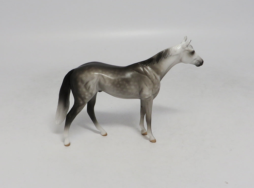 KAILUA-OOAK DAPPLE GREY THOROUGHBRED CHIP SW 2018