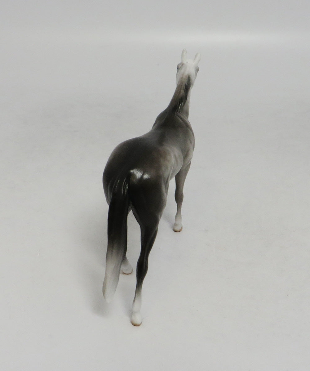 KAILUA-OOAK DAPPLE GREY THOROUGHBRED CHIP SW 2018