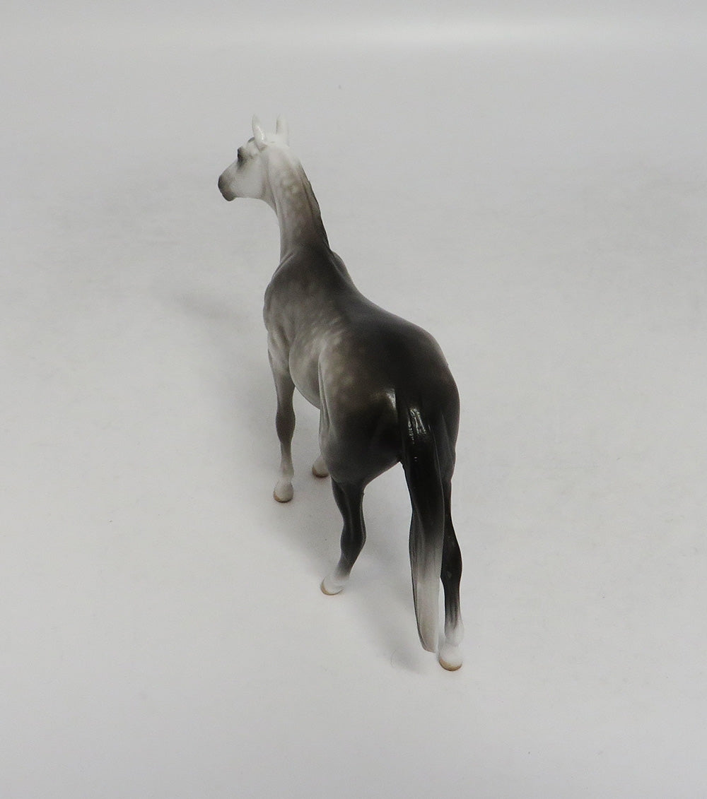 KAILUA-OOAK DAPPLE GREY THOROUGHBRED CHIP SW 2018