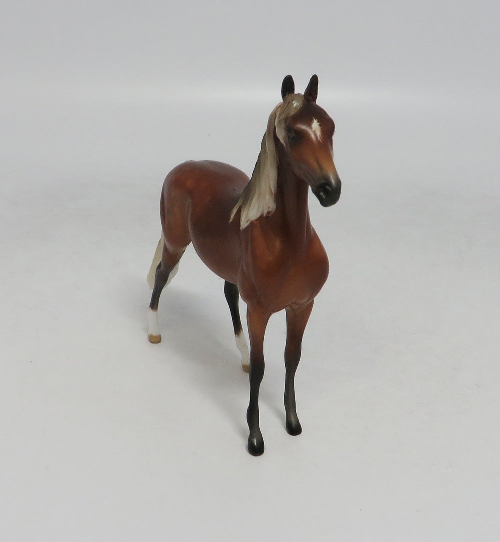 LAGUNA-OOAK SILVER BAY MORGAN CHIP SW 2018