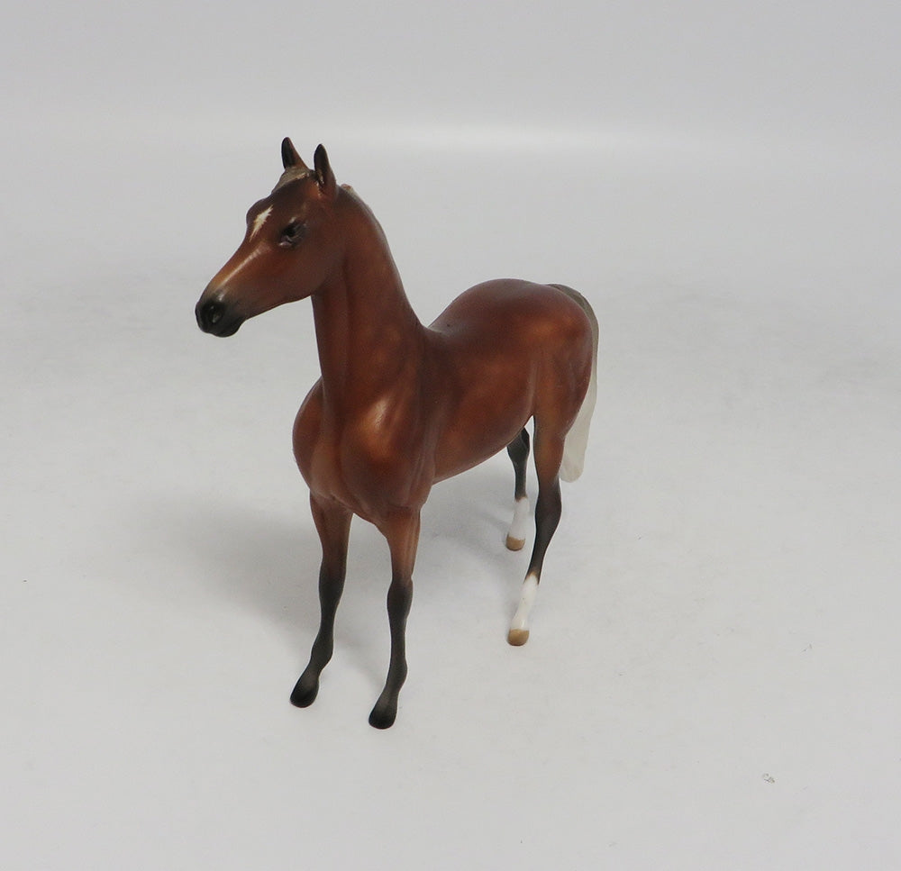 LAGUNA-OOAK SILVER BAY MORGAN CHIP SW 2018