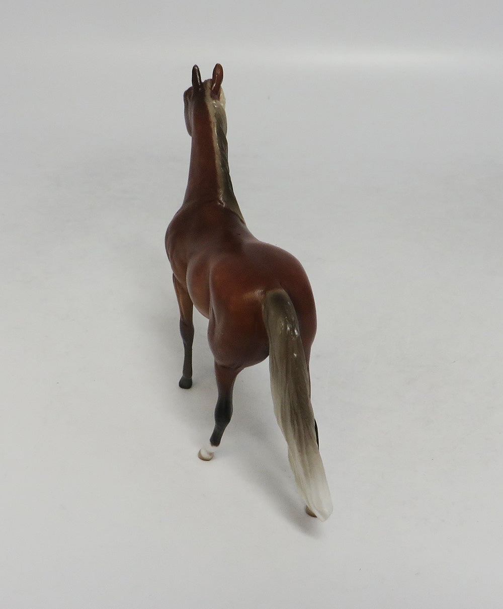 LAGUNA-OOAK SILVER BAY MORGAN CHIP SW 2018