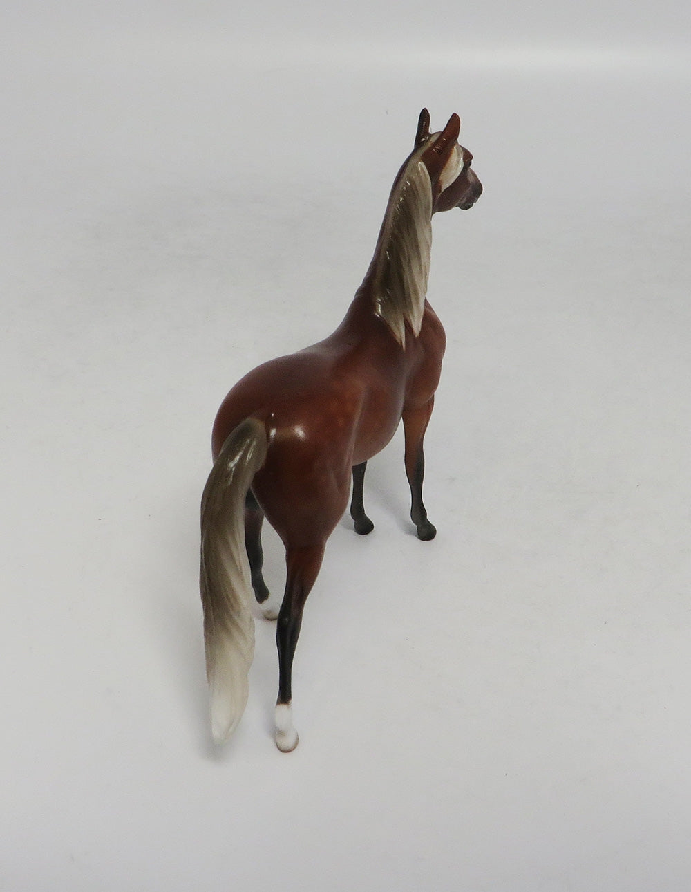 LAGUNA-OOAK SILVER BAY MORGAN CHIP SW 2018