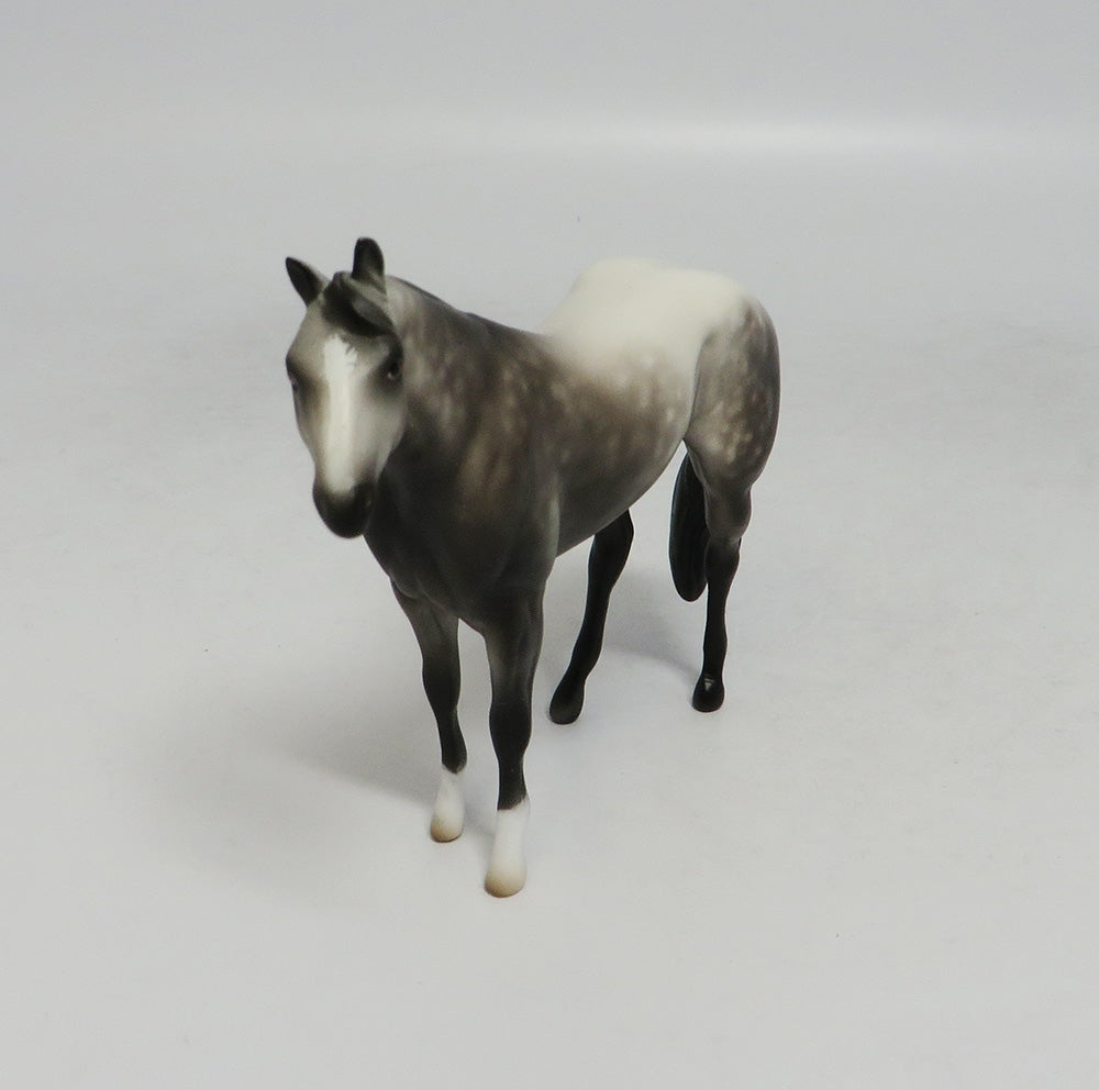 BIG SUR-OOAK DAPPLE GREY QUARTER HORSE 9/18/2018