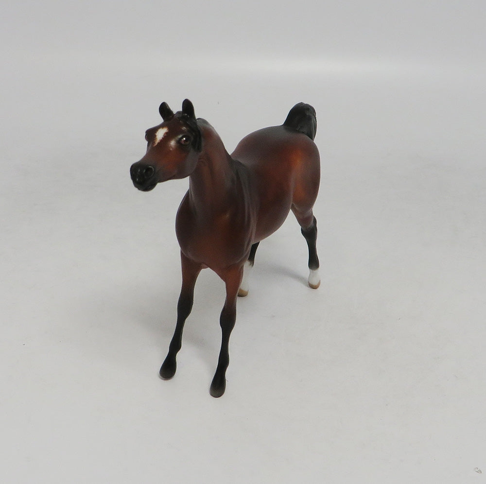 CORONADO-OOAK DAPPLE BAY ARABIAN CHIP BY SHERYL LEISURE SW18