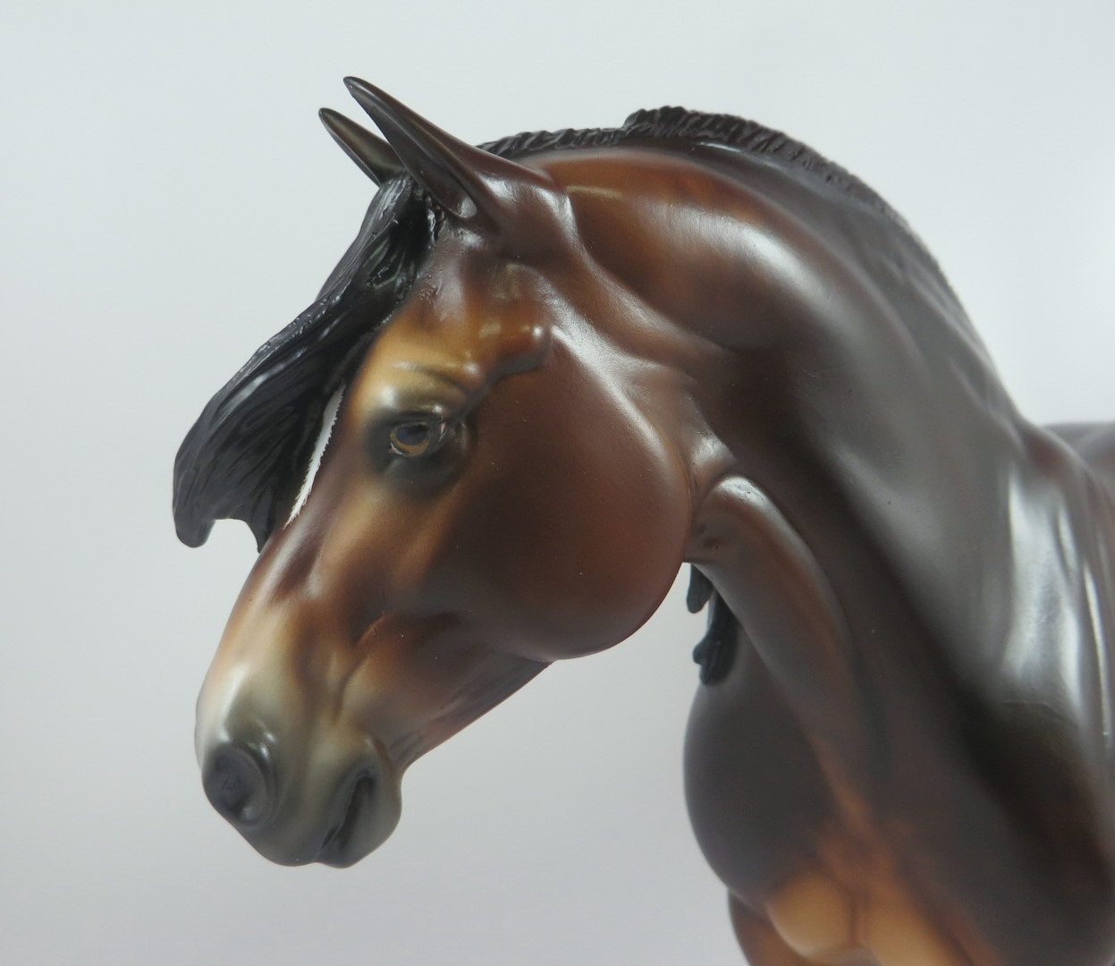 FA BOO LOUS-OOAK STAR DAPPLE BAY HEAVY DRAFT MARE BY SHERYL LEISURE LHS 19