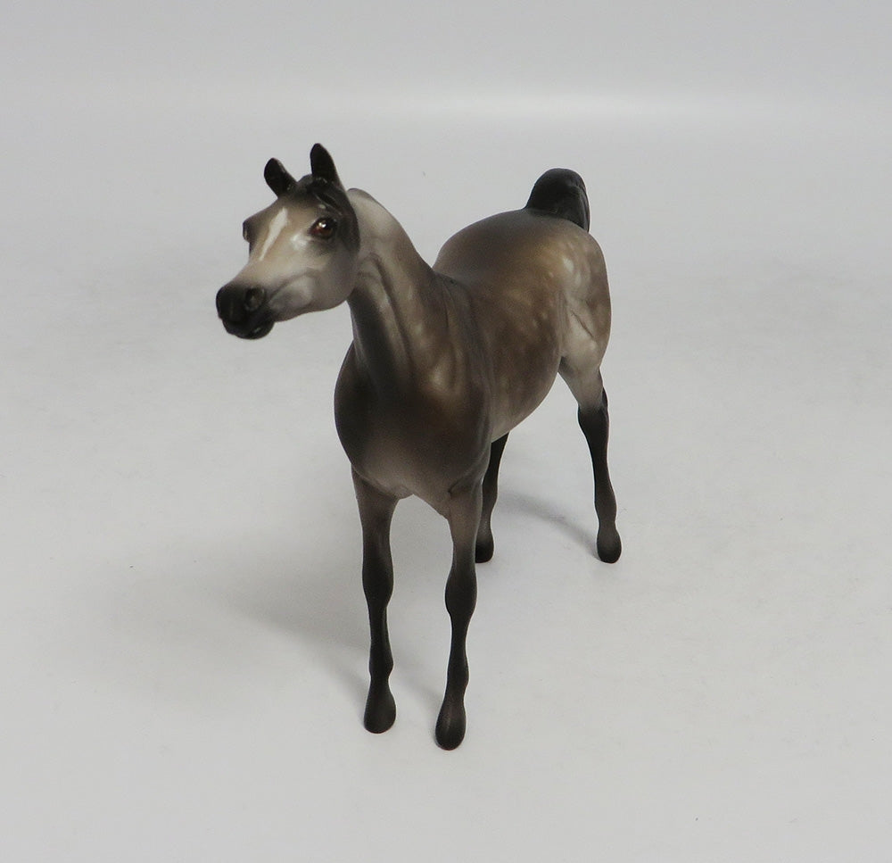 NEWPORT-OOAK DAPPLE GREY ARABIAN CHIP BY SHERYL LEISURE 10/12/18