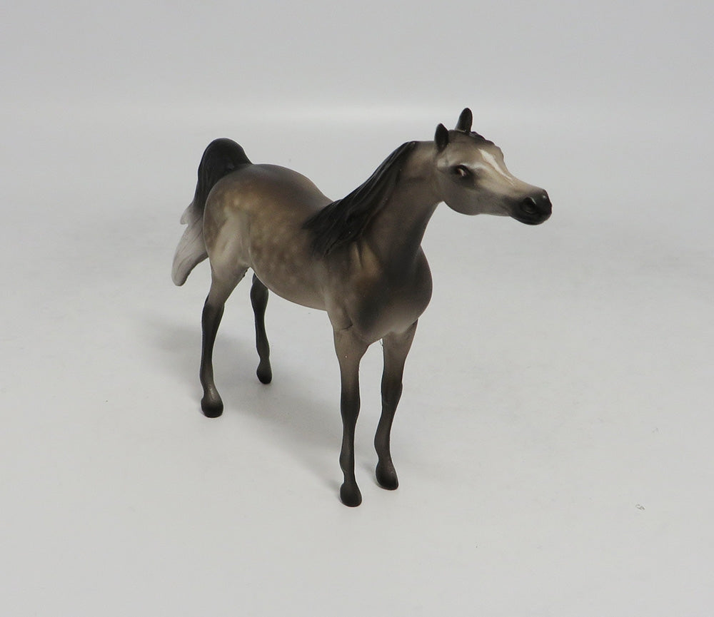 NEWPORT-OOAK DAPPLE GREY ARABIAN CHIP BY SHERYL LEISURE 10/12/18