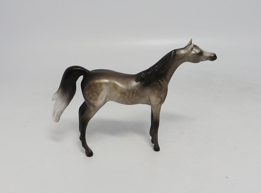 NEWPORT-OOAK DAPPLE GREY ARABIAN CHIP BY SHERYL LEISURE 10/12/18