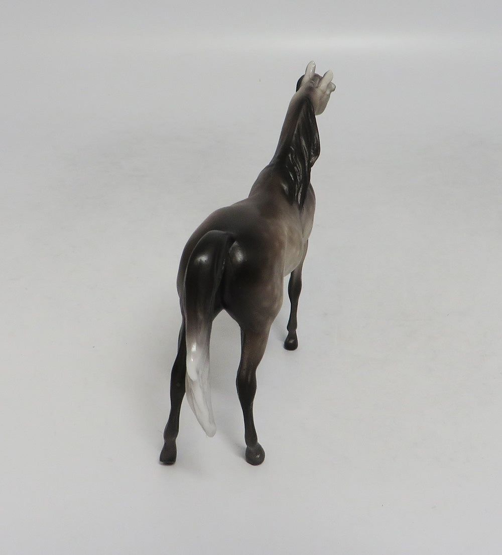 NEWPORT-OOAK DAPPLE GREY ARABIAN CHIP BY SHERYL LEISURE 10/12/18