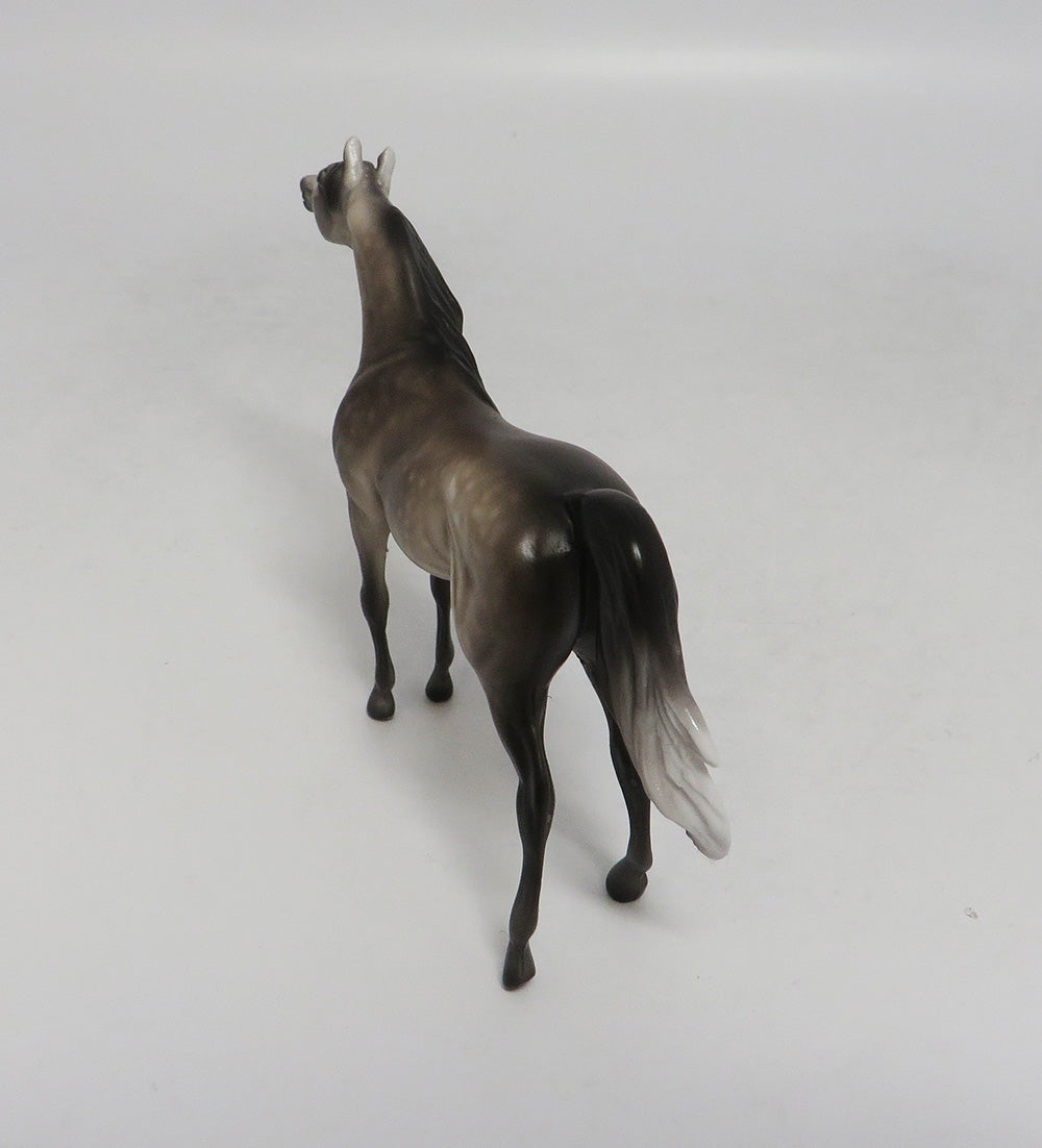 NEWPORT-OOAK DAPPLE GREY ARABIAN CHIP BY SHERYL LEISURE 10/12/18