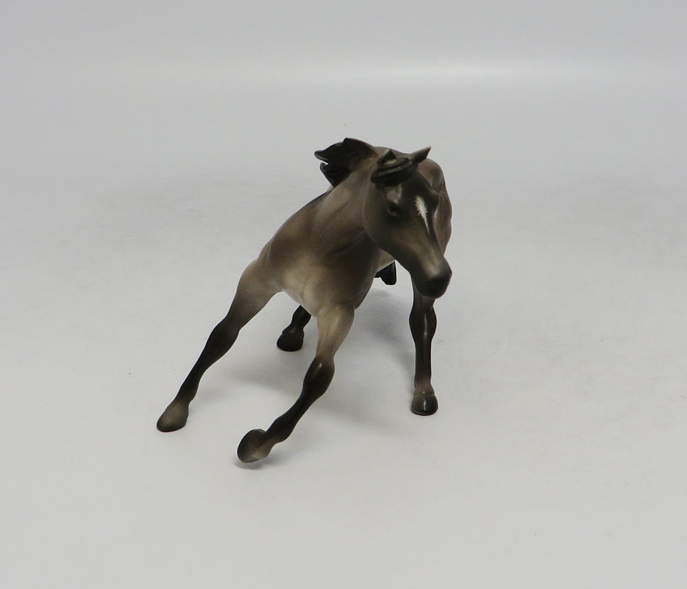 SARASOTA-OOAK DAPPLE GRULLA CUTTER CHIP  SW 18