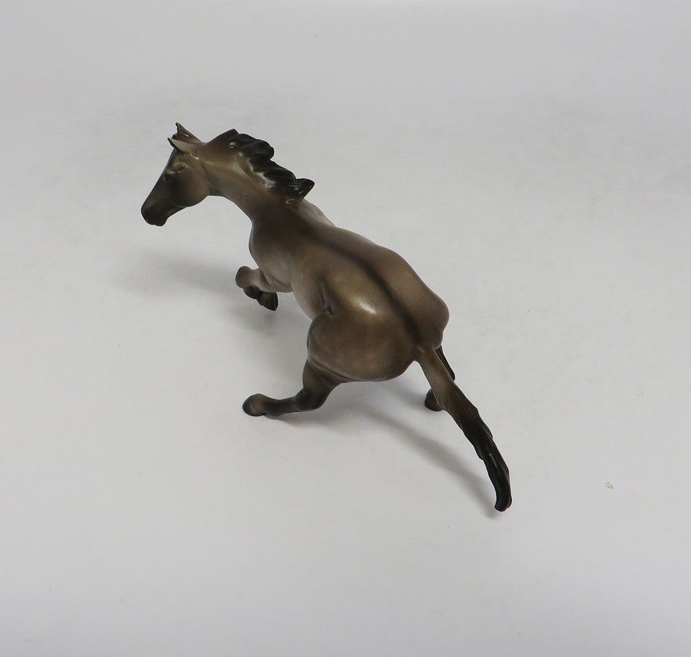 SARASOTA-OOAK DAPPLE GRULLA CUTTER CHIP  SW 18