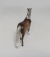 DAYTONA-OOAK DAPPLE SILVER BAY PONY CHIP SW 2018