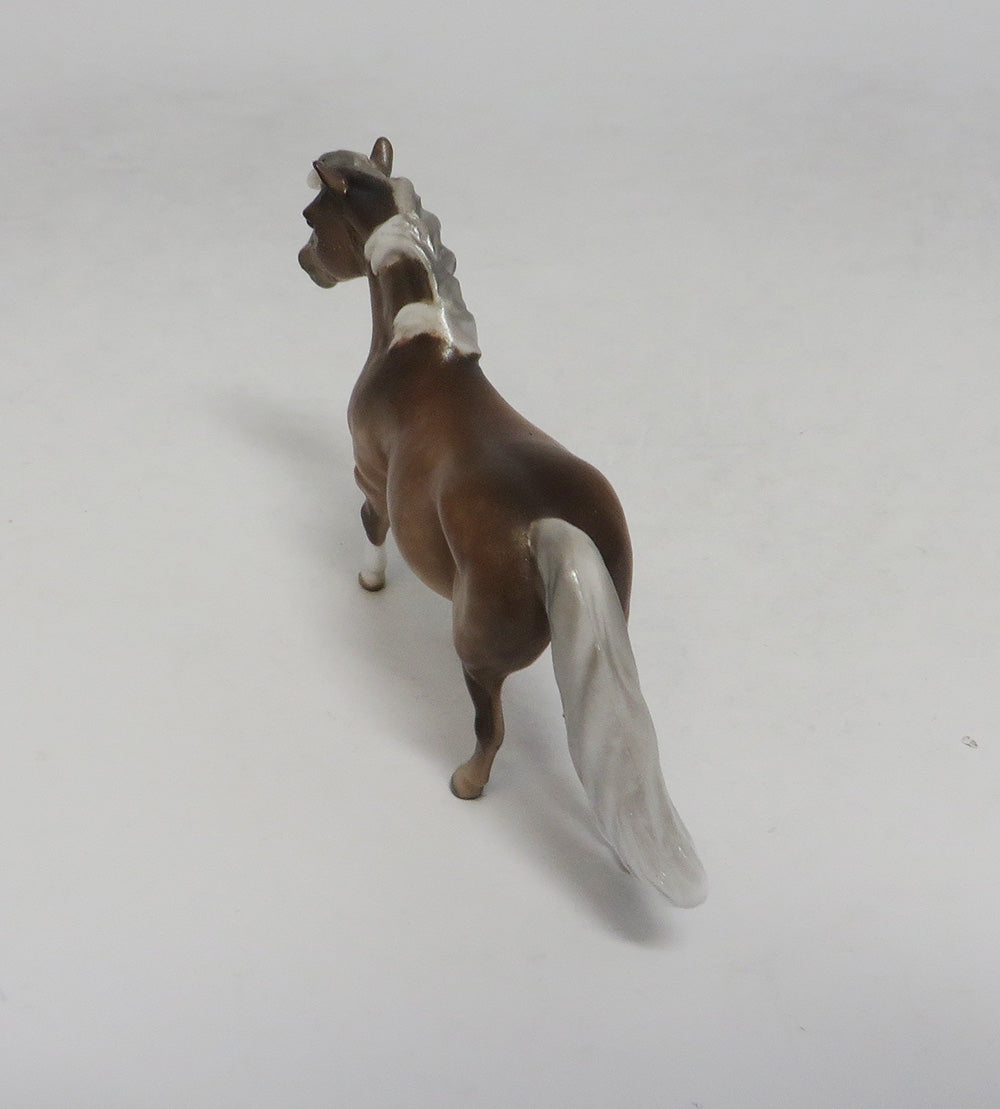 DAYTONA-OOAK DAPPLE SILVER BAY PONY CHIP SW 2018