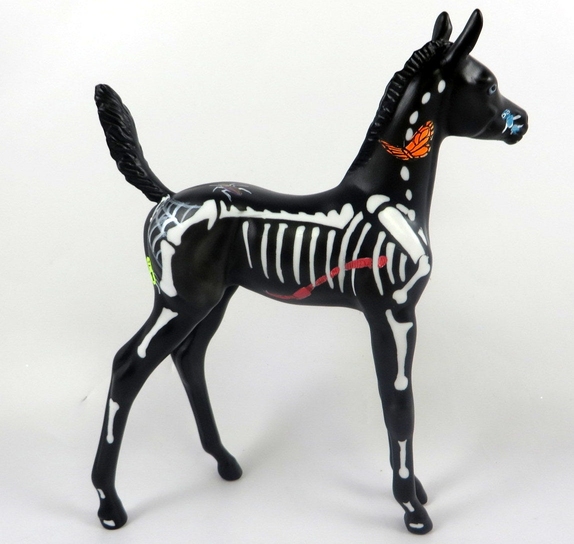 LITTLE BONES-LE-5 ARABIAN FOAL BLACK WITH BONES BY DAWN QUICK MM19