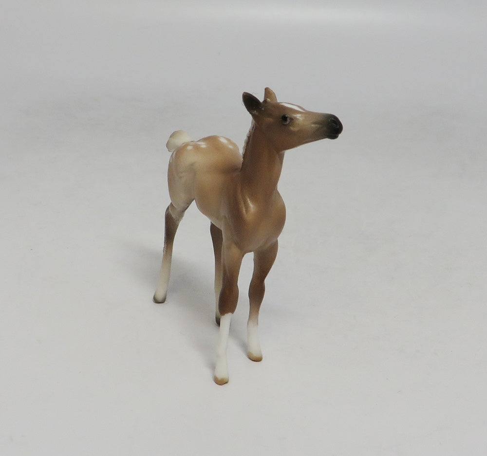 OAHU-OOAK SOOTY PALOMINO APPY FOAL CHIP SW 18