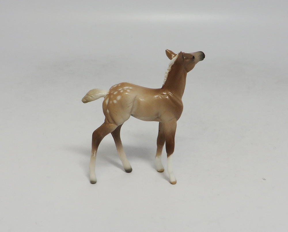 OAHU-OOAK SOOTY PALOMINO APPY FOAL CHIP SW 18