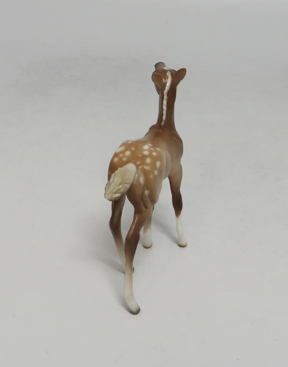 OAHU-OOAK SOOTY PALOMINO APPY FOAL CHIP SW 18