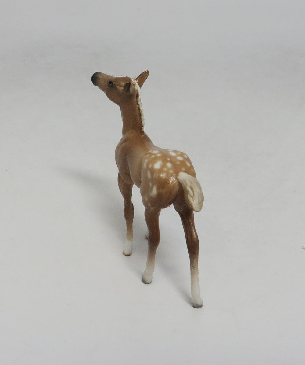 OAHU-OOAK SOOTY PALOMINO APPY FOAL CHIP SW 18