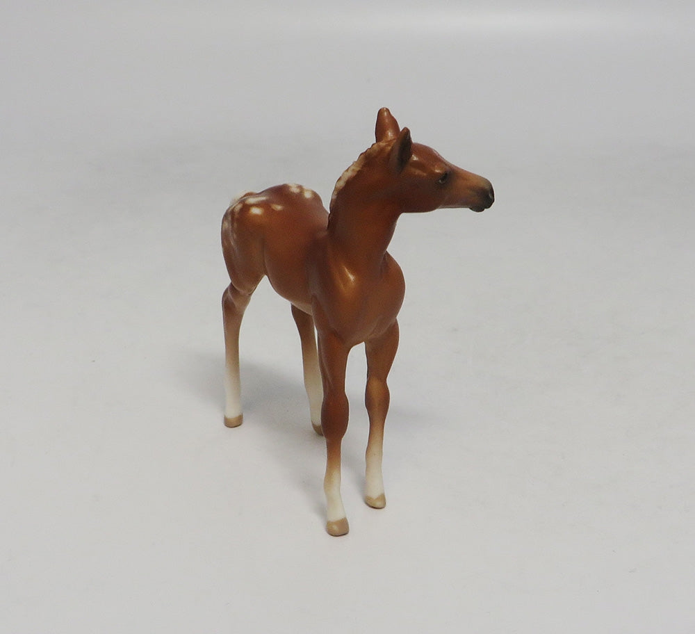 DESTIN-OOAK CHESTNUT APPALOOSA CHIP SW 2018
