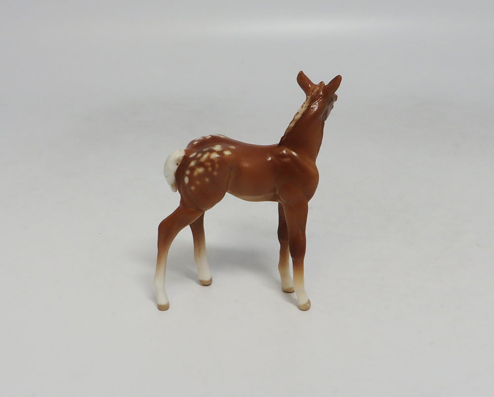 DESTIN-OOAK CHESTNUT APPALOOSA CHIP SW 2018