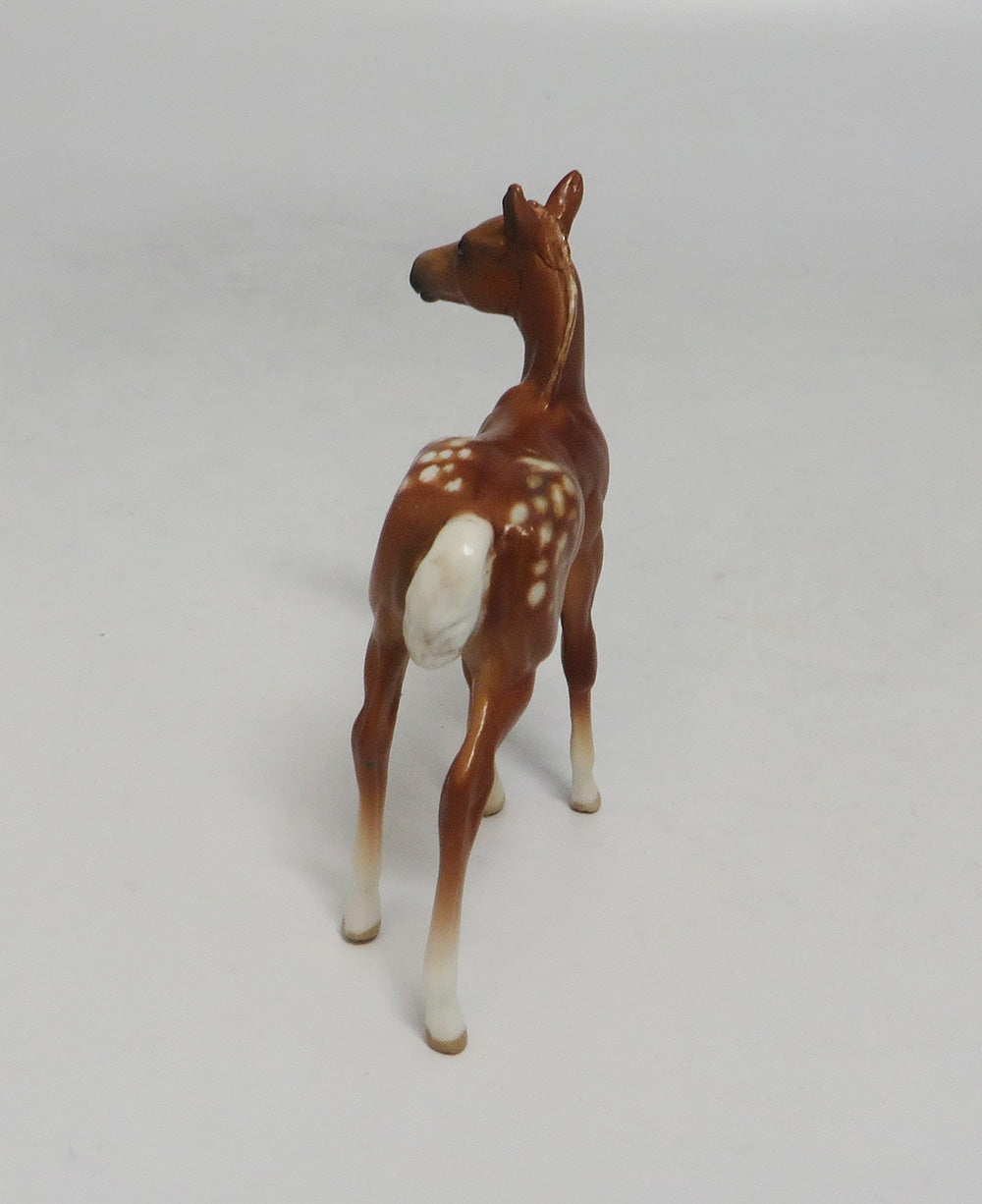 DESTIN-OOAK CHESTNUT APPALOOSA CHIP SW 2018