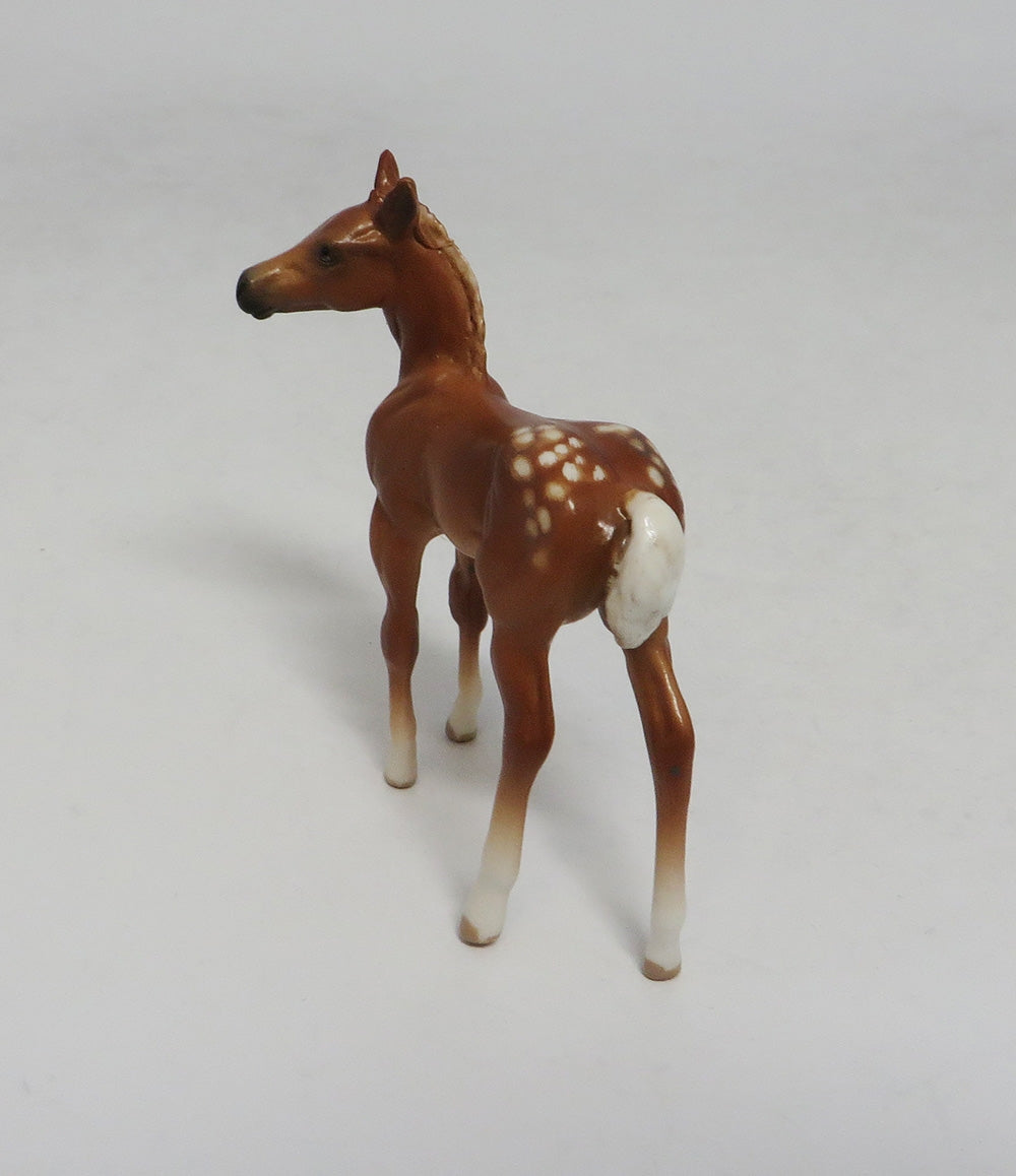 DESTIN-OOAK CHESTNUT APPALOOSA CHIP SW 2018