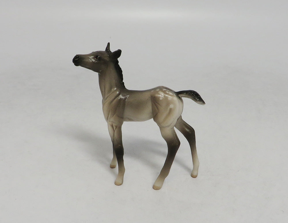 LAHAINA-OOAK GRULLA APPALOOSA FOAL CHIP FOAL SW 2018