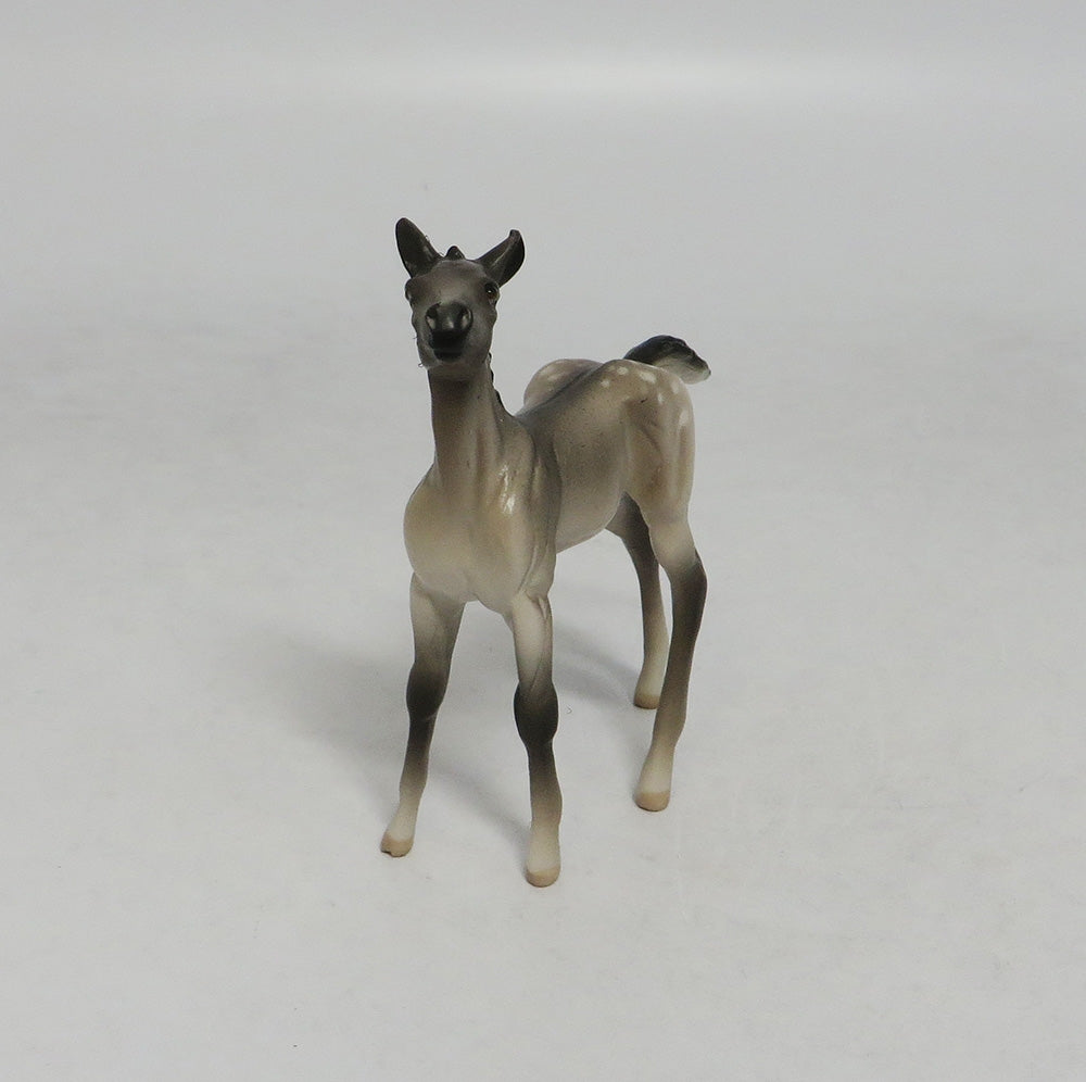 LAHAINA-OOAK GRULLA APPALOOSA FOAL CHIP FOAL SW 2018