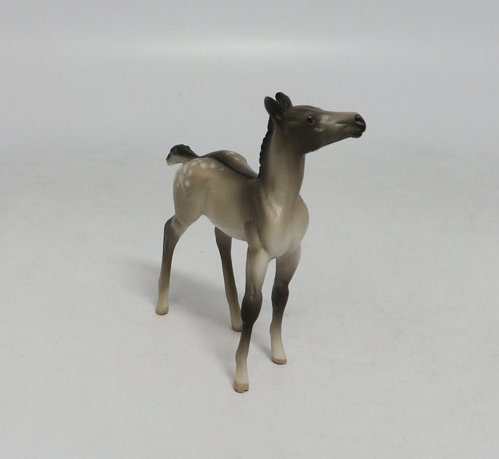 LAHAINA-OOAK GRULLA APPALOOSA FOAL CHIP FOAL SW 2018