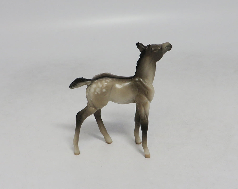 LAHAINA-OOAK GRULLA APPALOOSA FOAL CHIP FOAL SW 2018