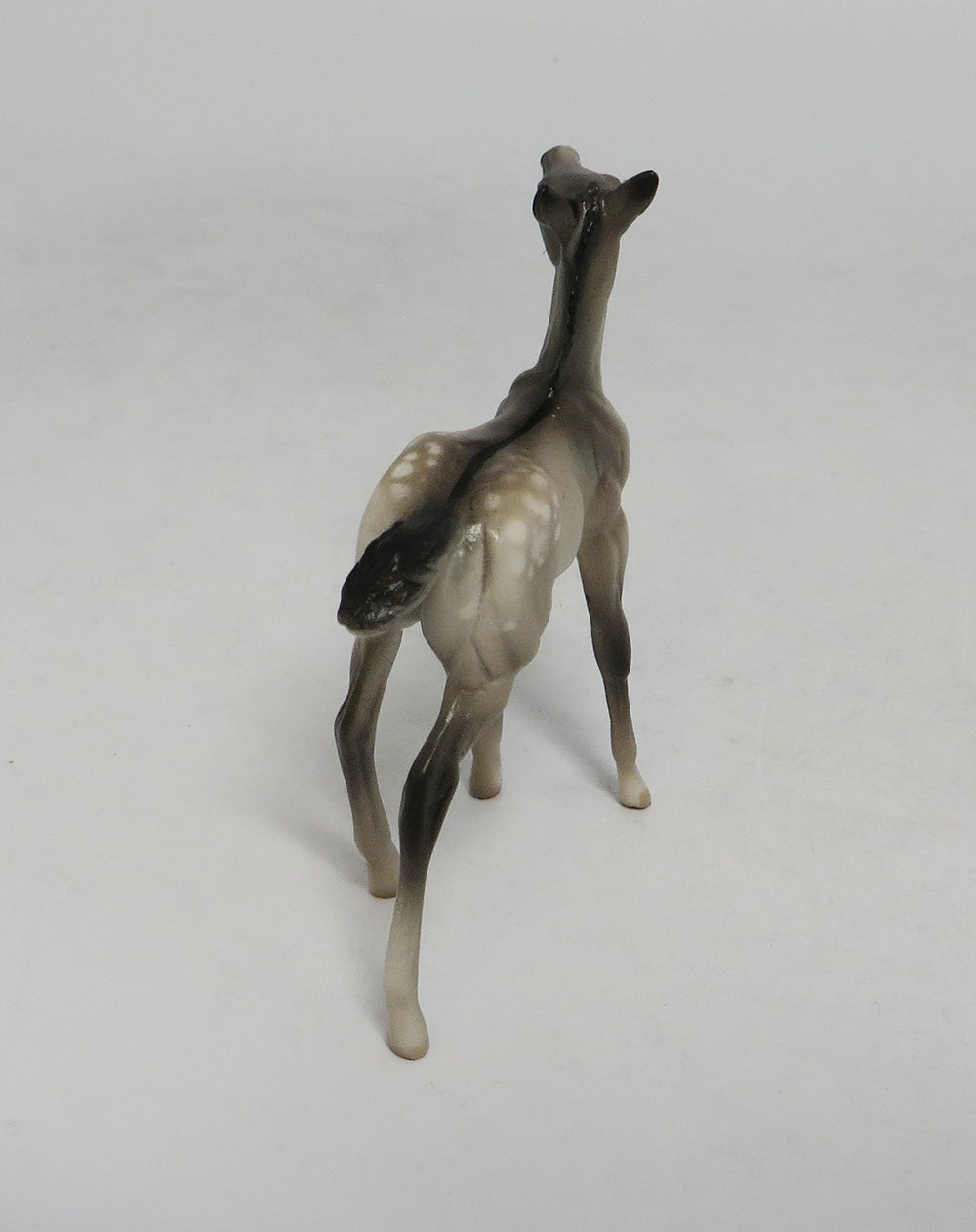 LAHAINA-OOAK GRULLA APPALOOSA FOAL CHIP FOAL SW 2018