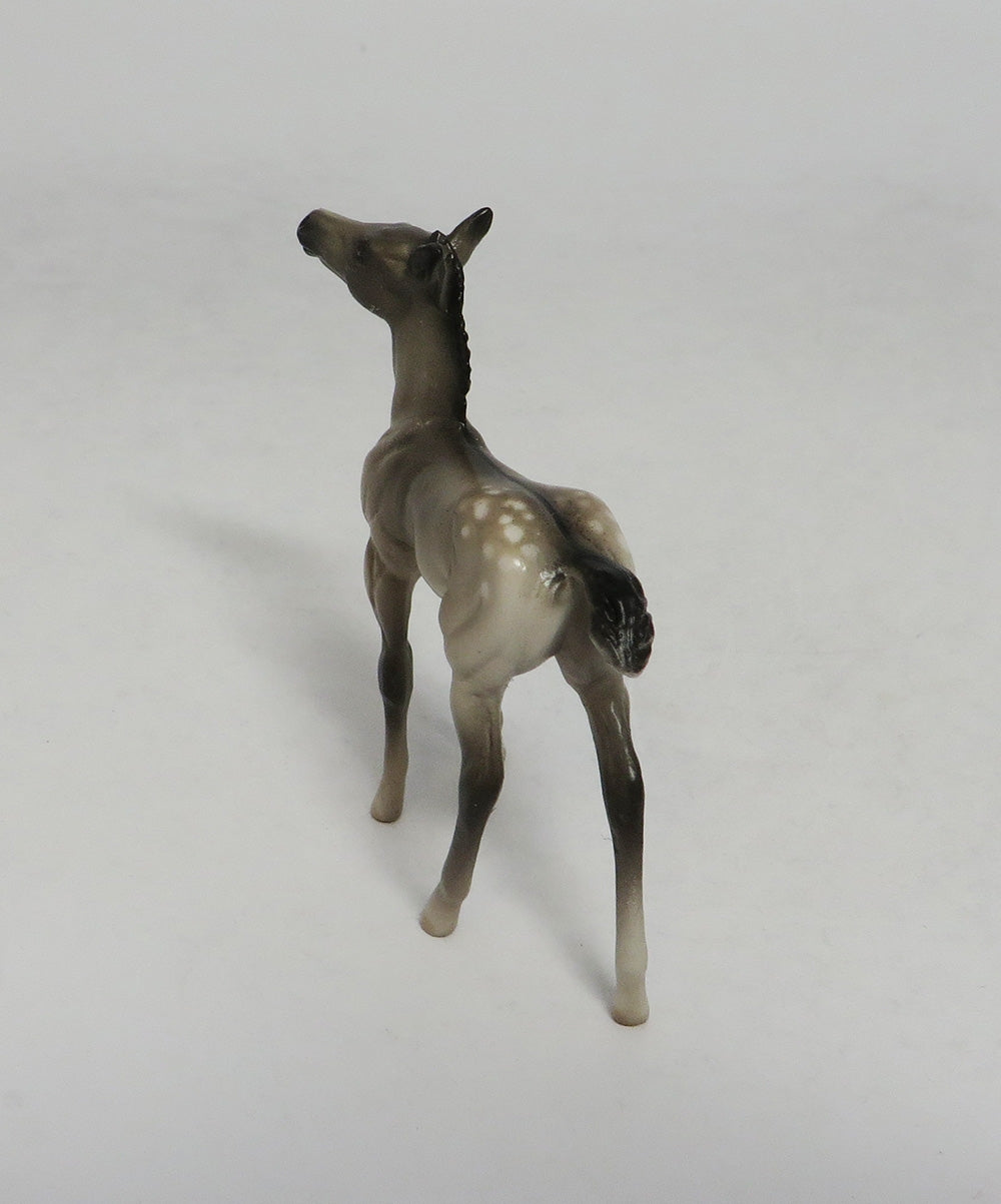 LAHAINA-OOAK GRULLA APPALOOSA FOAL CHIP FOAL SW 2018