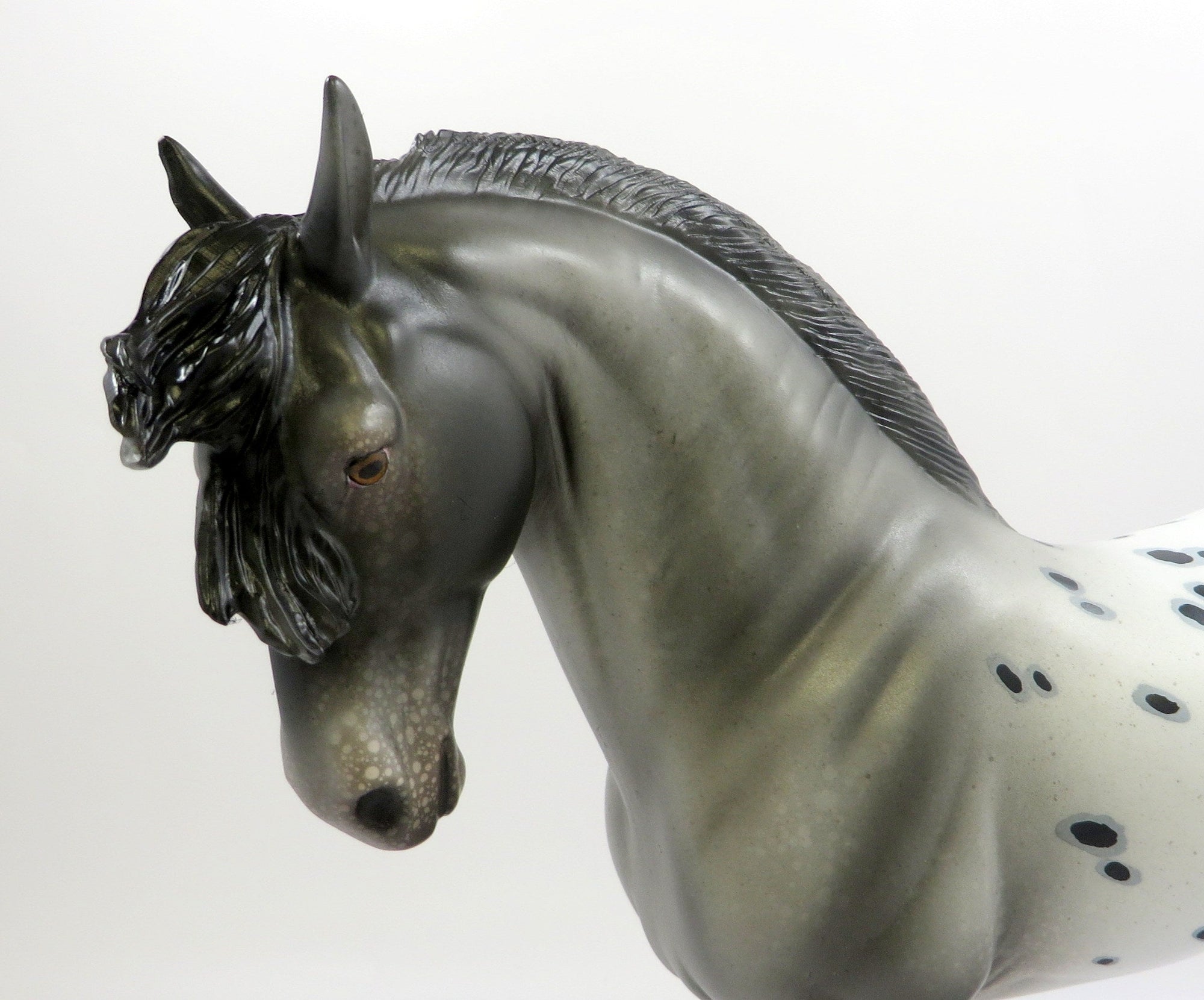 GITANO-LE-15 APPALOOSA ANDALUSIAN MODEL HORSE PRE-ORDER