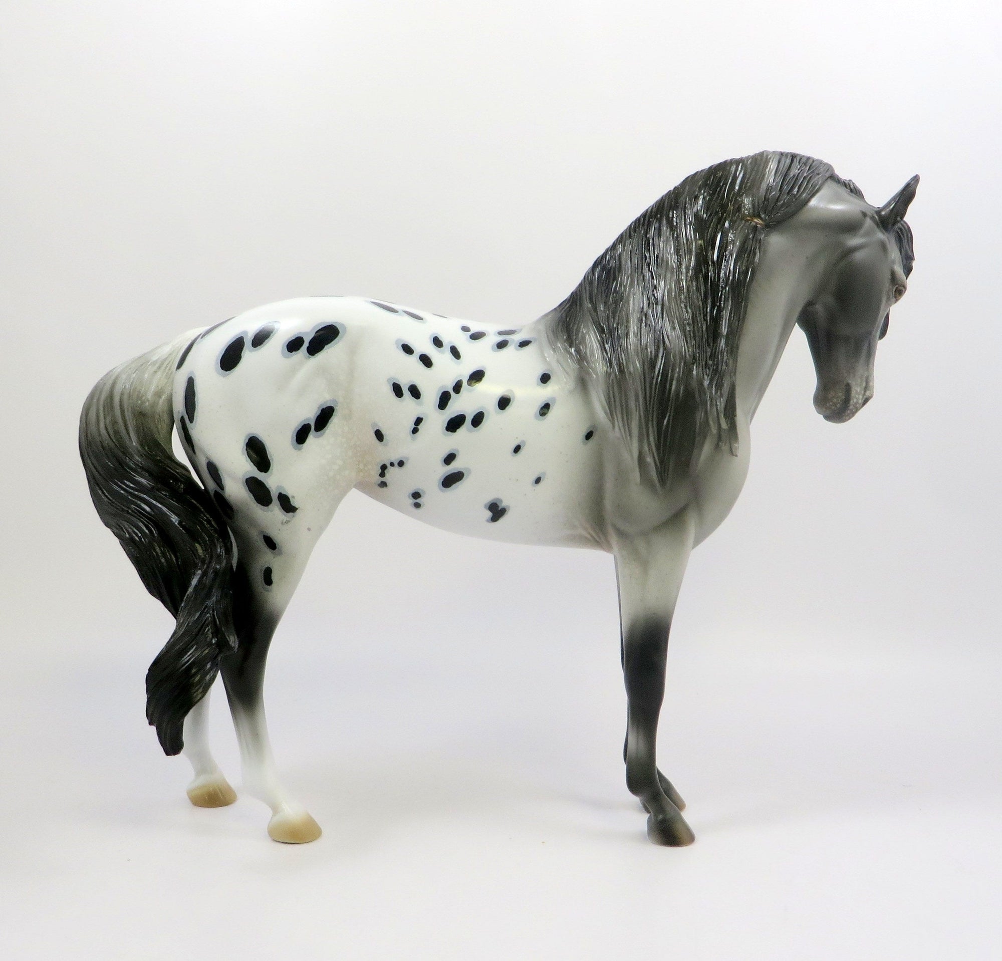 GITANO-LE-15 APPALOOSA ANDALUSIAN MODEL HORSE PRE-ORDER