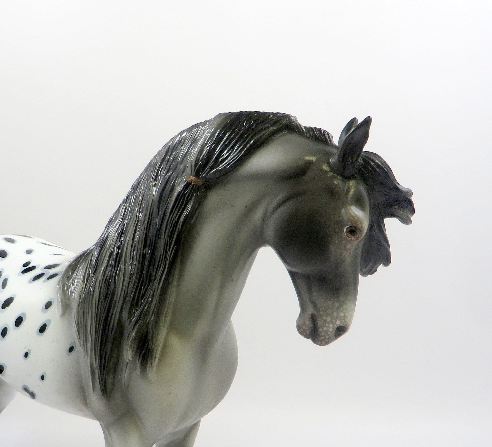GITANO-LE-15 APPALOOSA ANDALUSIAN MODEL HORSE PRE-ORDER