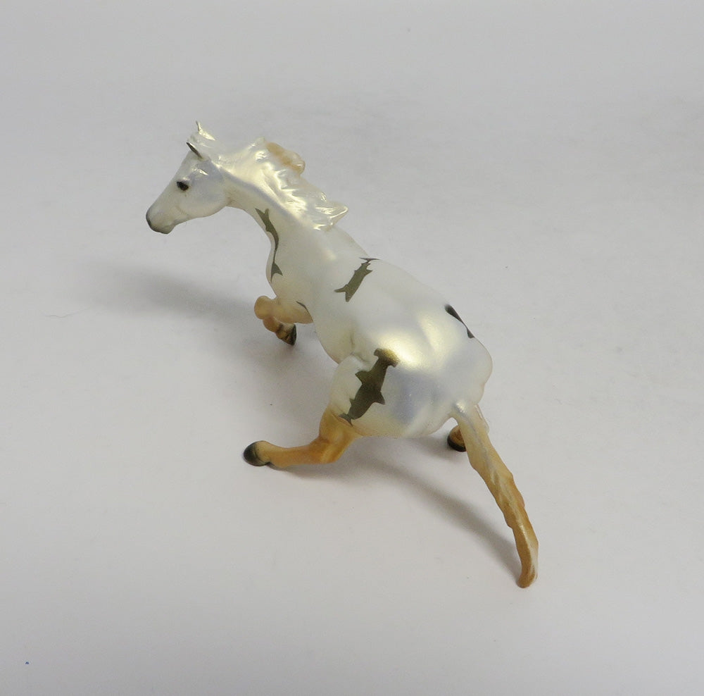 PACIFICA- OOAK CUTTER CHIP SHARK WEEK DECORATOR SW2018