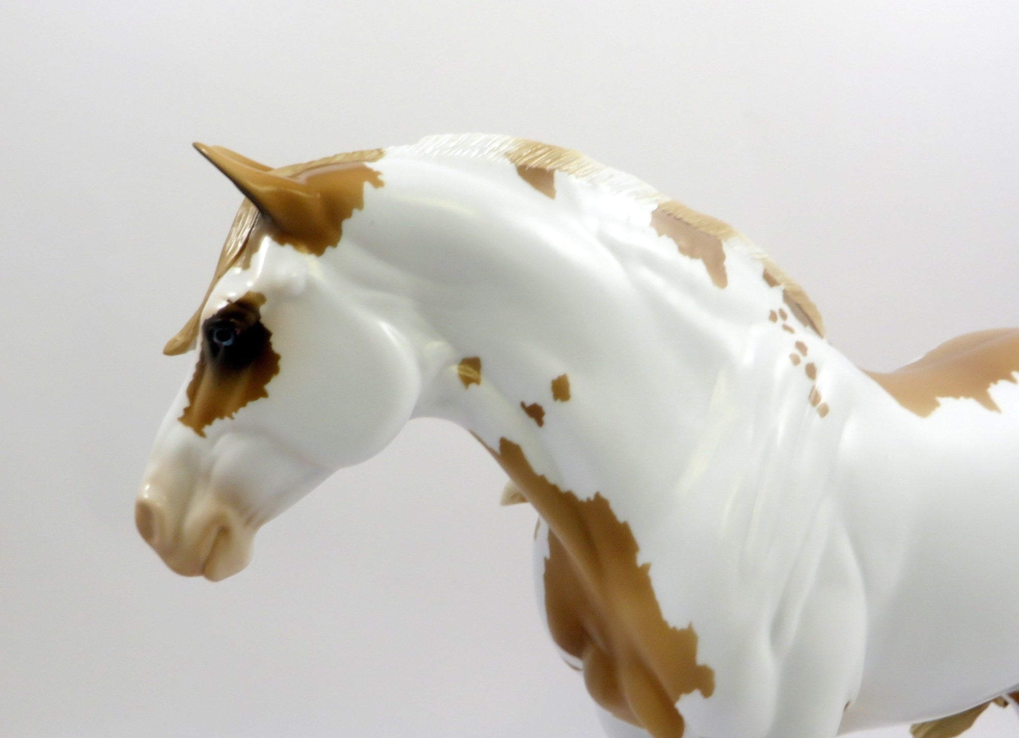 AURELIA-OOAK PALOMINO PINTO HEAVY DRAFTER MODEL HORSE 6-7-19