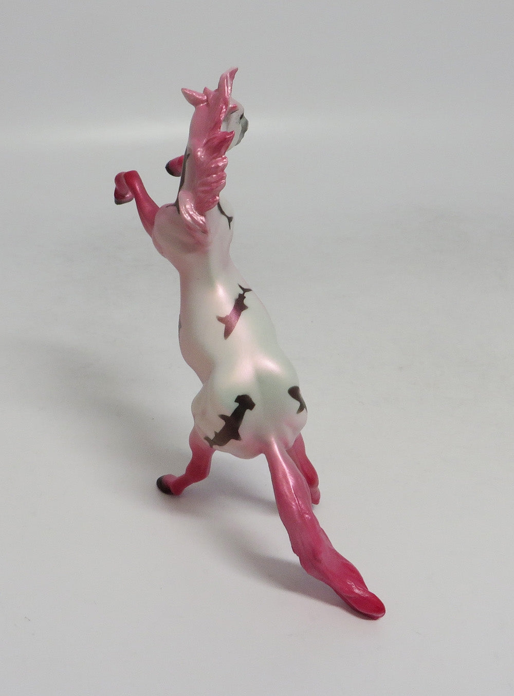 PINKIE-OOAK PINK REARING CHIP SHARK DECORATOR SW 2018