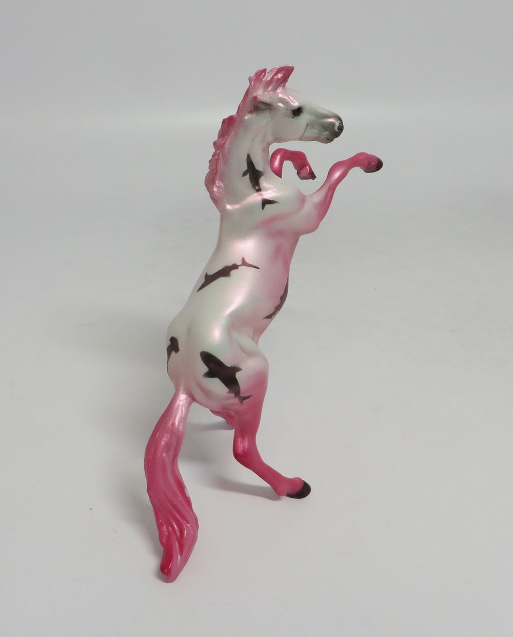 PINKIE-OOAK PINK REARING CHIP SHARK DECORATOR SW 2018