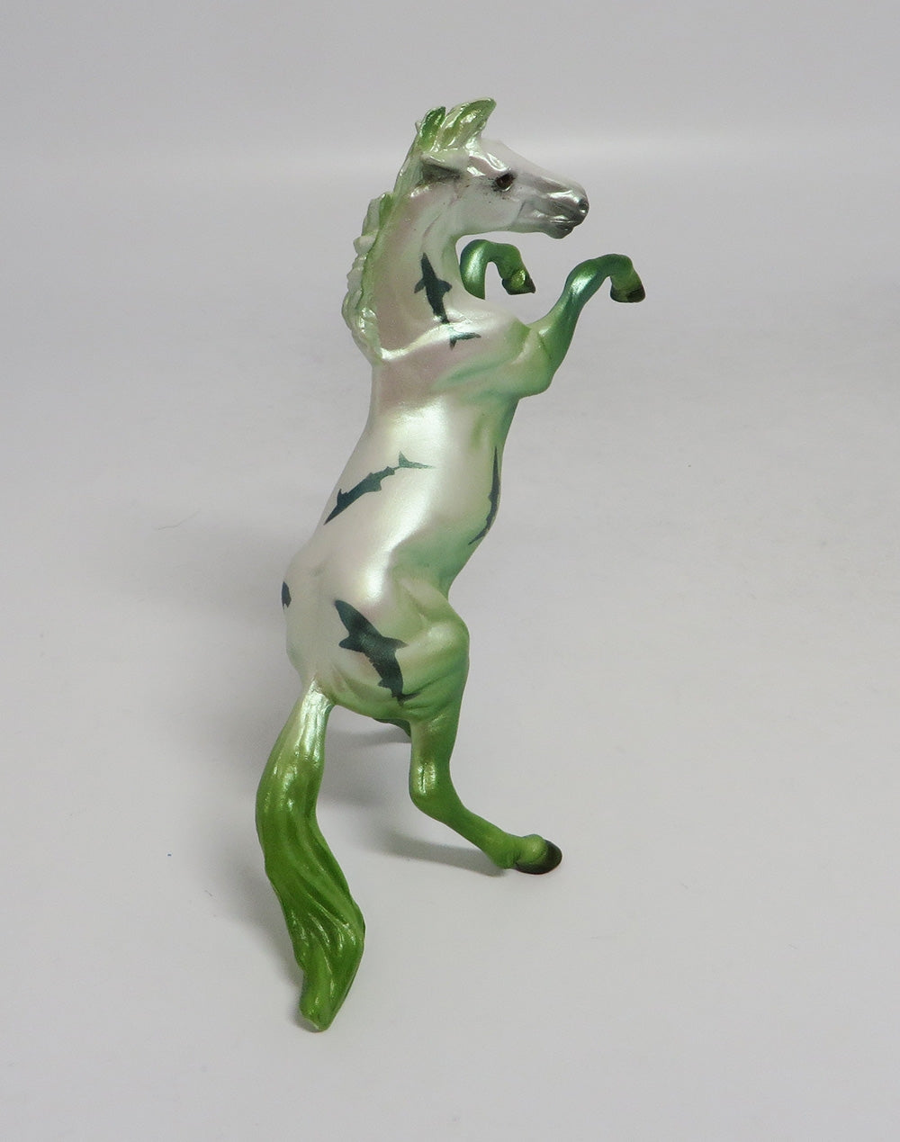 SEAWEED-OOAK GREEN SHARK DECORATOR REARING CHIP SW18