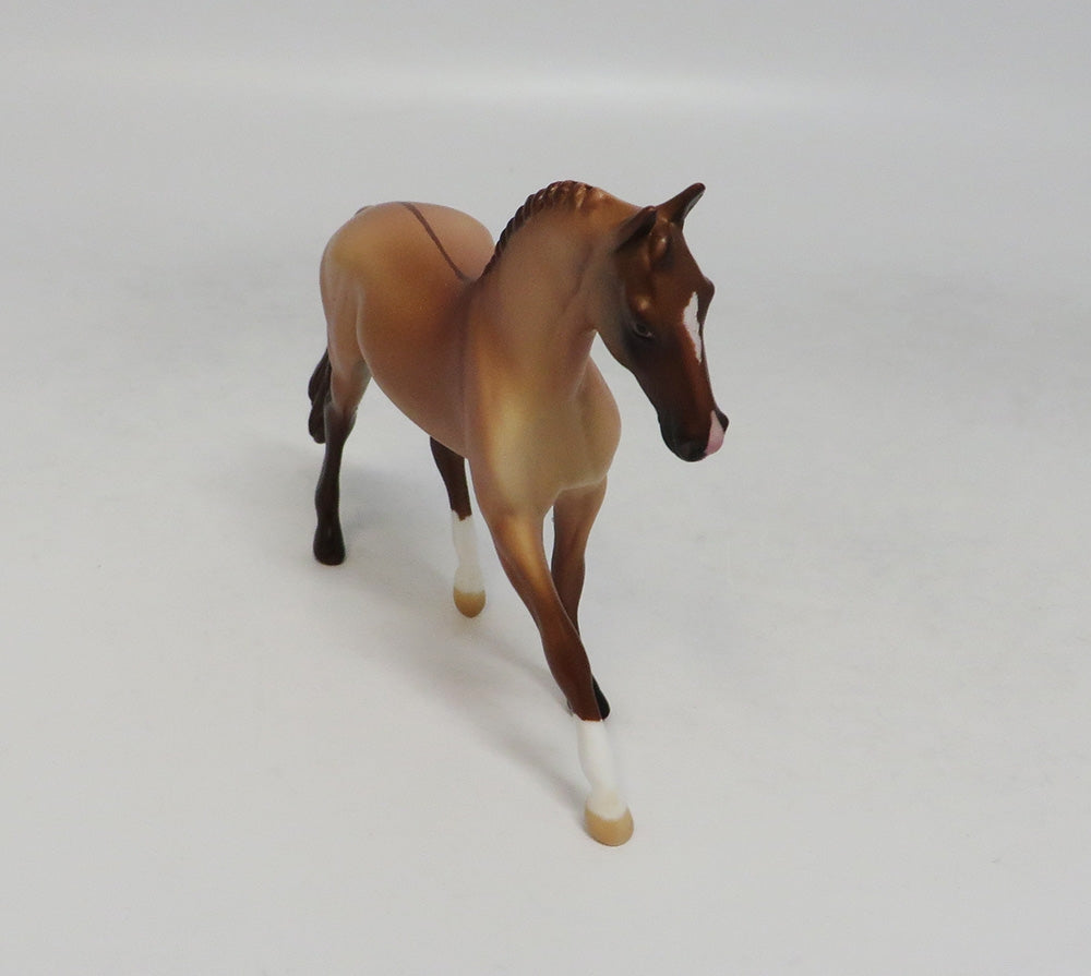 AMY DUN-LE-20 APRICOT DUN WARMBLOOD CHIP LHS 18