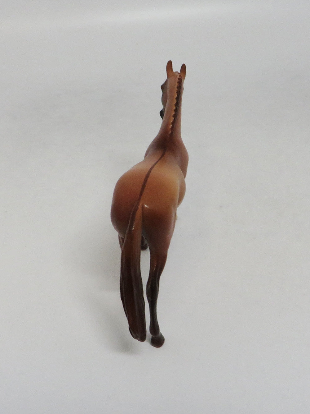 AMY DUN-LE-20 APRICOT DUN WARMBLOOD CHIP LHS 18