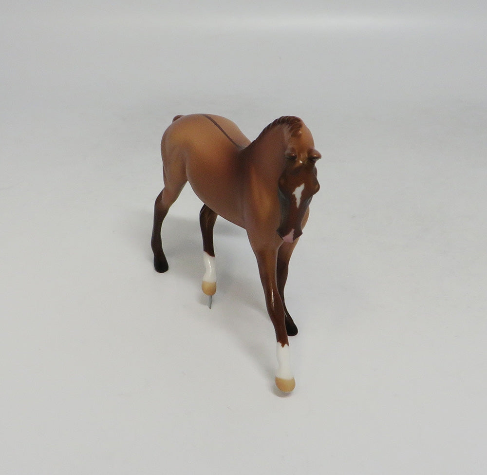AMY DUN-LE-10 CM APRICOT DUN WARMBLOOD CHIP LHS 18